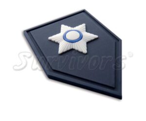 Σήματα 3D - Υπαστυνόμος Β (πέτου)