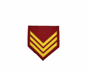 ΓΑΛΟΝΙΑ ΕΠΙΛΟΧΙΑ ΕΜΘ ΕΞΟΔΟΥ